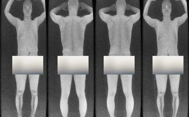 Michelle Theall tweet media