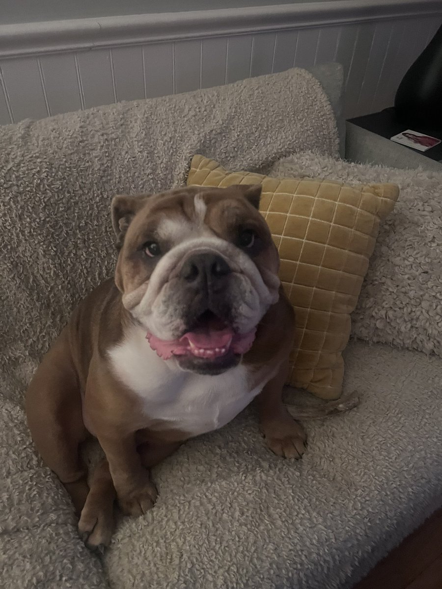 xatzertx's tweet photo. @KyleNeubeck Mac is feeling good about it. https://t.co/lpZG058SpB