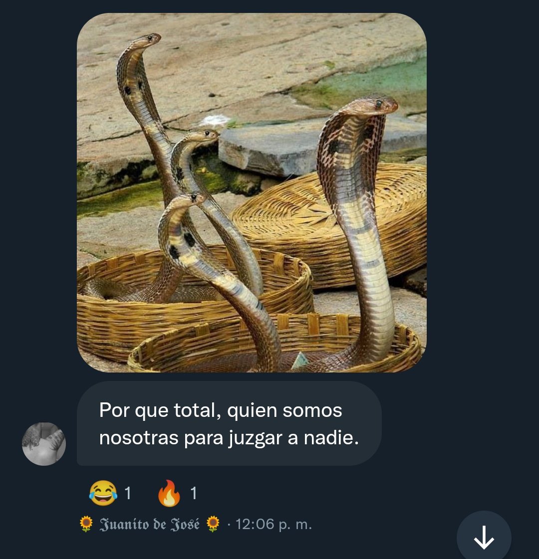 veciinitxs's tweet photo. Una mañanita criticando Telecinco 😍 
#vecinasparacaidistas https://t.co/3HfP2vpq5r