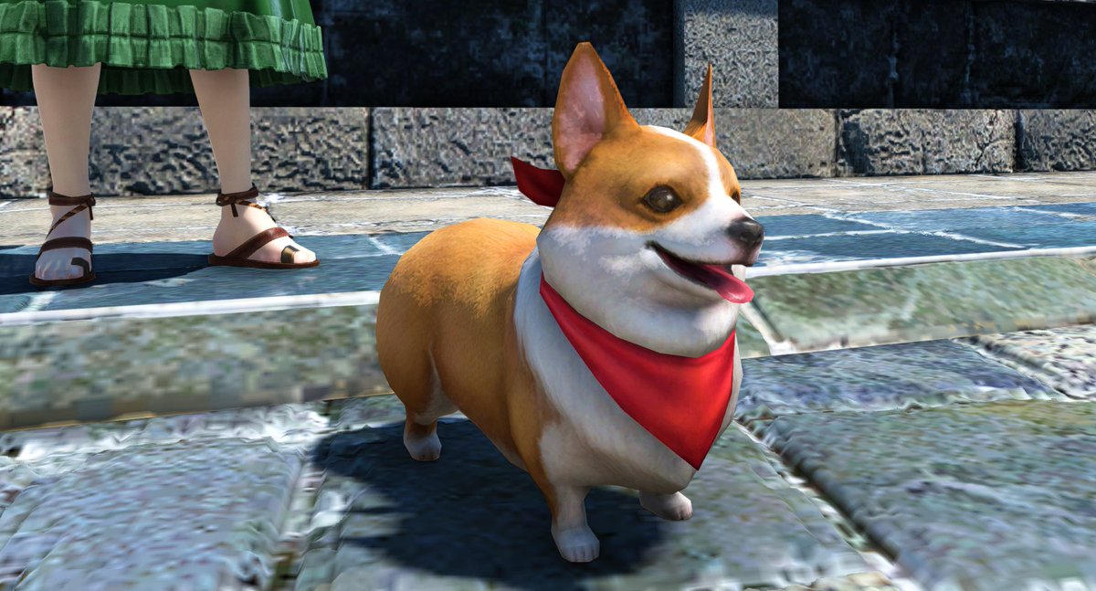 LillyWandsworth's tweet photo. Day 9 Favourite Minion
#FFXIVScreenshot #FFXIVOmega #FFXIVChaos #FFXIVMiqote #MiqoMarch #MiqoMarch2023 #miqote https://t.co/Cfgl9Z0kjU