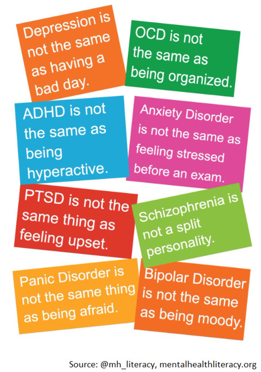 Dr. Jonathan N. Stea tweet media