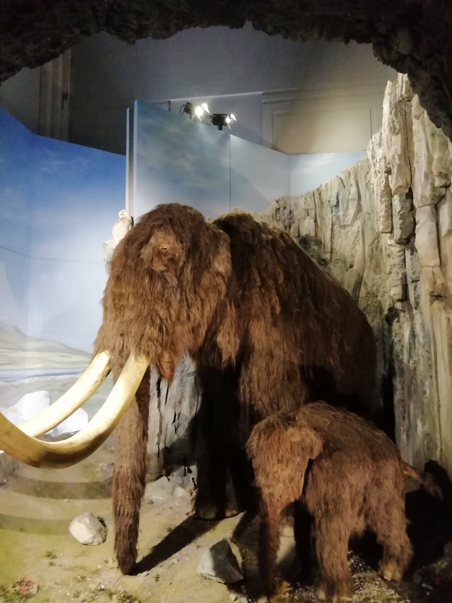 Georgetown B&G Club (@georgetownyc) on Twitter photo Diolch am prynhawn diddorol iawn heddiw <a href="/Museum_Cardiff/">Amgueddfa Caerdydd</a> We had an awesome time at the exhibitions today Thank you 😎 Diolch am prynhawn diddorol iawn heddiw <a href="/Museum_Cardiff/">Amgueddfa Caerdydd</a> We had an awesome time at the exhibitions today Thank you 😎
