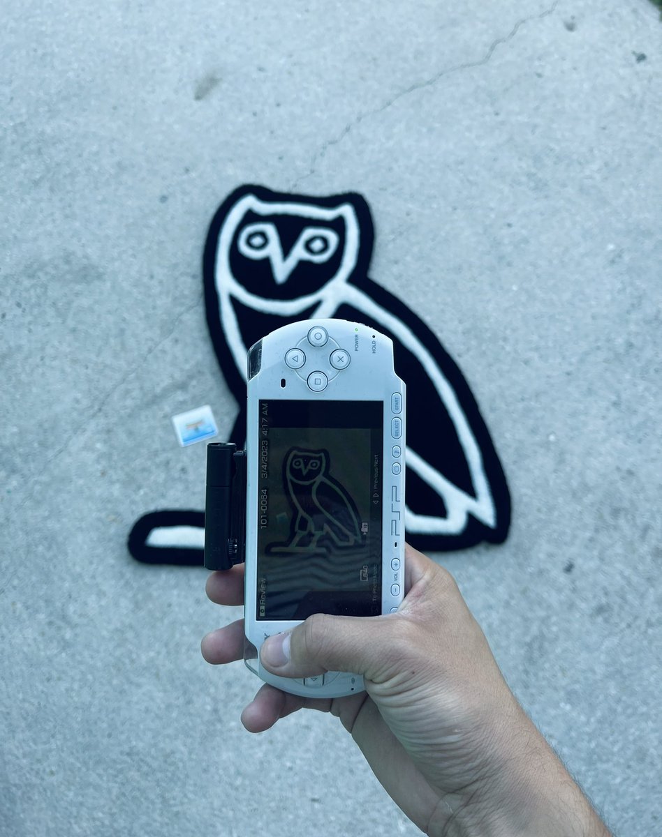 @coolrugz on IG 🦉