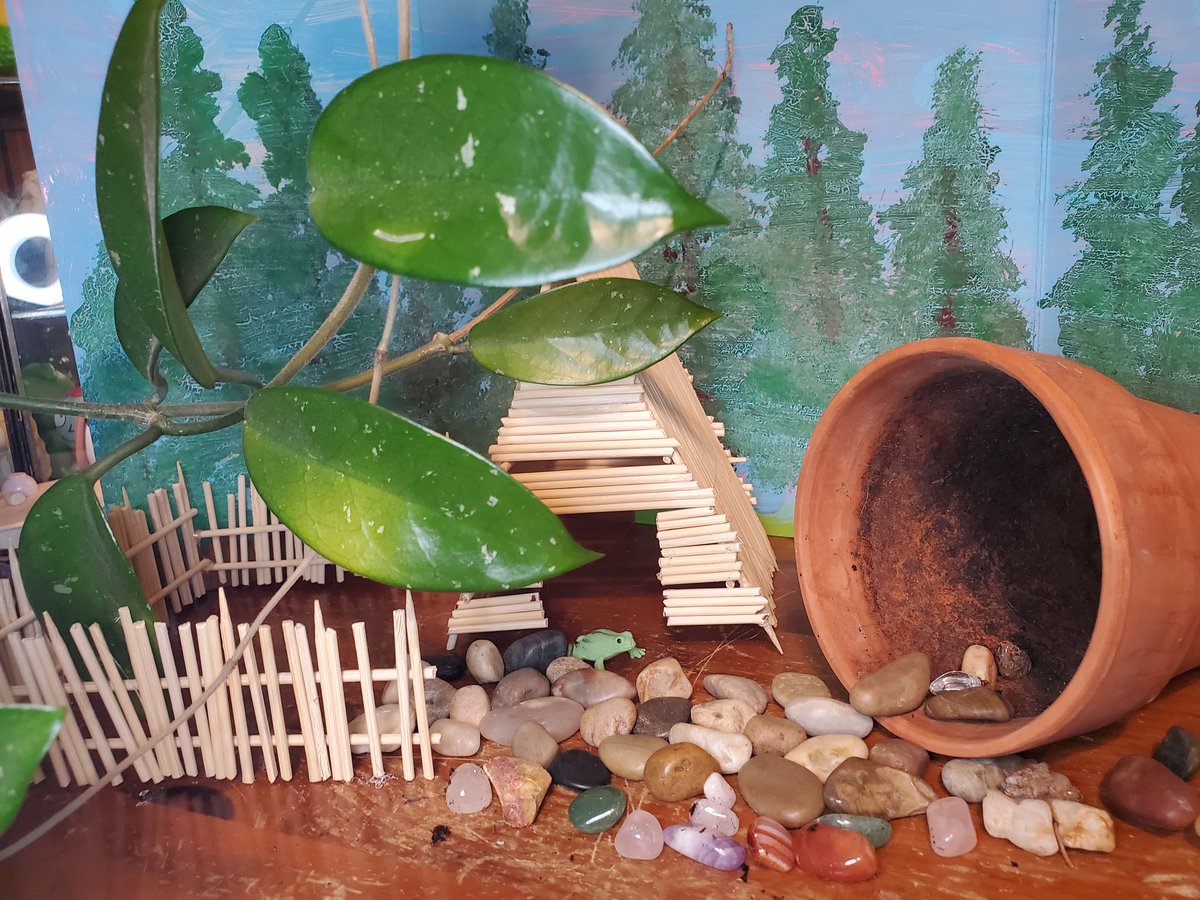 missfrodo25's tweet photo. Happy to #GISH again! This poolside #Frod resort will be opening in April/May, when the 3+ ft of snow we have has melted. Conveniently located under the raspberries and hopping distance from water, it will be naturally shaded and safe from predators. #GAFWHES https://t.co/eFj4JrtdXG