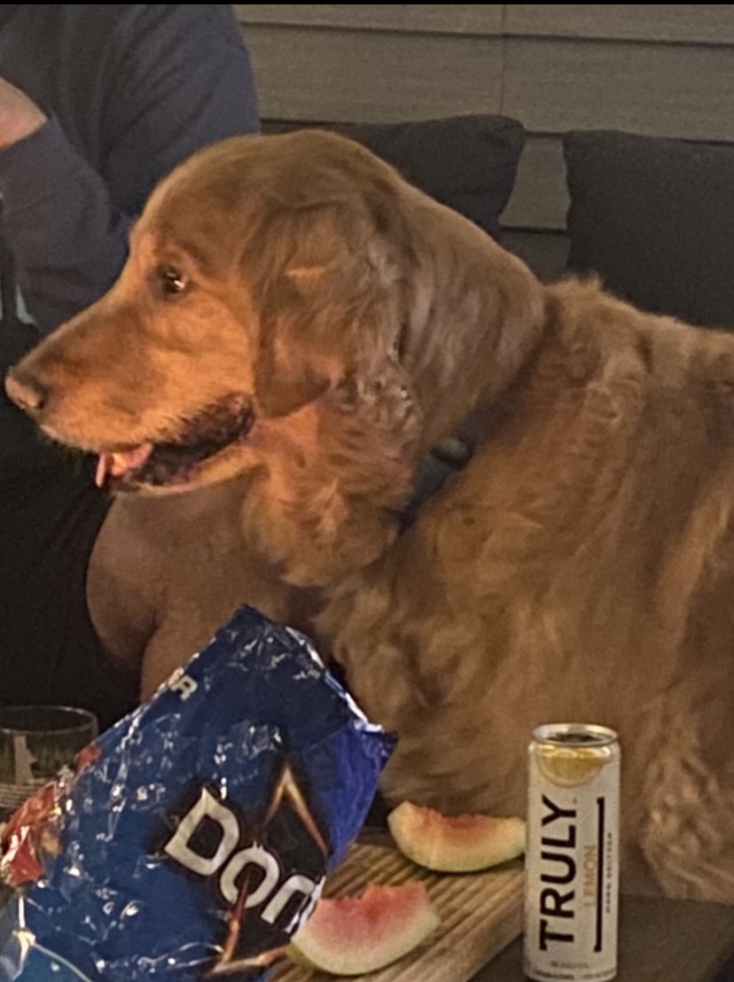 tiedyedress's tweet photo. the kingston family has lost one of their own brothers. RIP Blue Humphreys. we've been homies for so long i can't imagine getting drunk chilling at the Frat and you won't be with us, just one of the boys. all my love to Jake &amp; Nick. goodbye blue 💙 https://t.co/PMIOZI8dPb