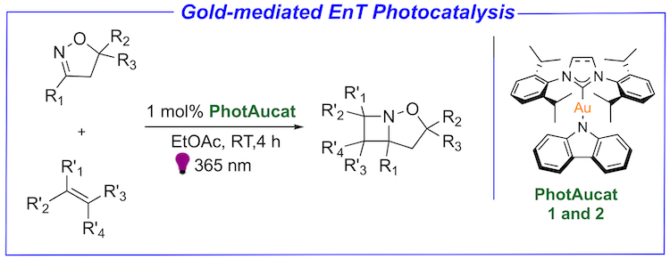 Szostak_Group's tweet photo. #NHCs #NHeterocyclicCarbenes Nolan group reported Au(I)-NHC catalyzed synthesis of #azetidines by energy transfer #photocatalysis. [Au(cbz)(NHC)] complexes emerge as highly attractive catalysts for this class of transformations! @pengcheng_gao @JOC_OL
  
https://t.co/TOCSXKve6F https://t.co/8Wj20UcPDy