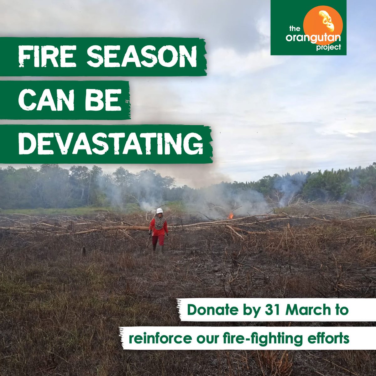 OrangutanTOP's tweet photo. Fire season can be devastating, and the tragedy is the forests of #WestBorneo are fire hotspots. Donate by 31 March to help our #Firefighting teams #ProtectOrangutans and their forest homes from fire: https://t.co/rdrIFXtpCb
#TheOrangutanProject #TOP #SaveOrangutans https://t.co/e5BRovMkw8