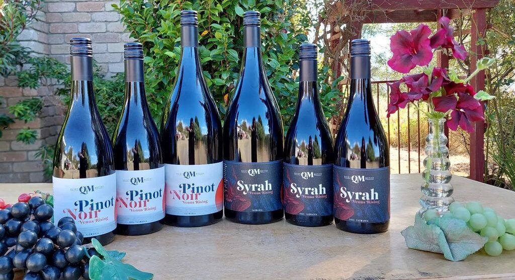 QuietMutiny's tweet image. From Instagram: instagr.am/p/CpYo3evhpi_/

Sometimes, size matters. Magnums available at today's @openvineyards. #rubbergrapesforthewin

#TassieWine