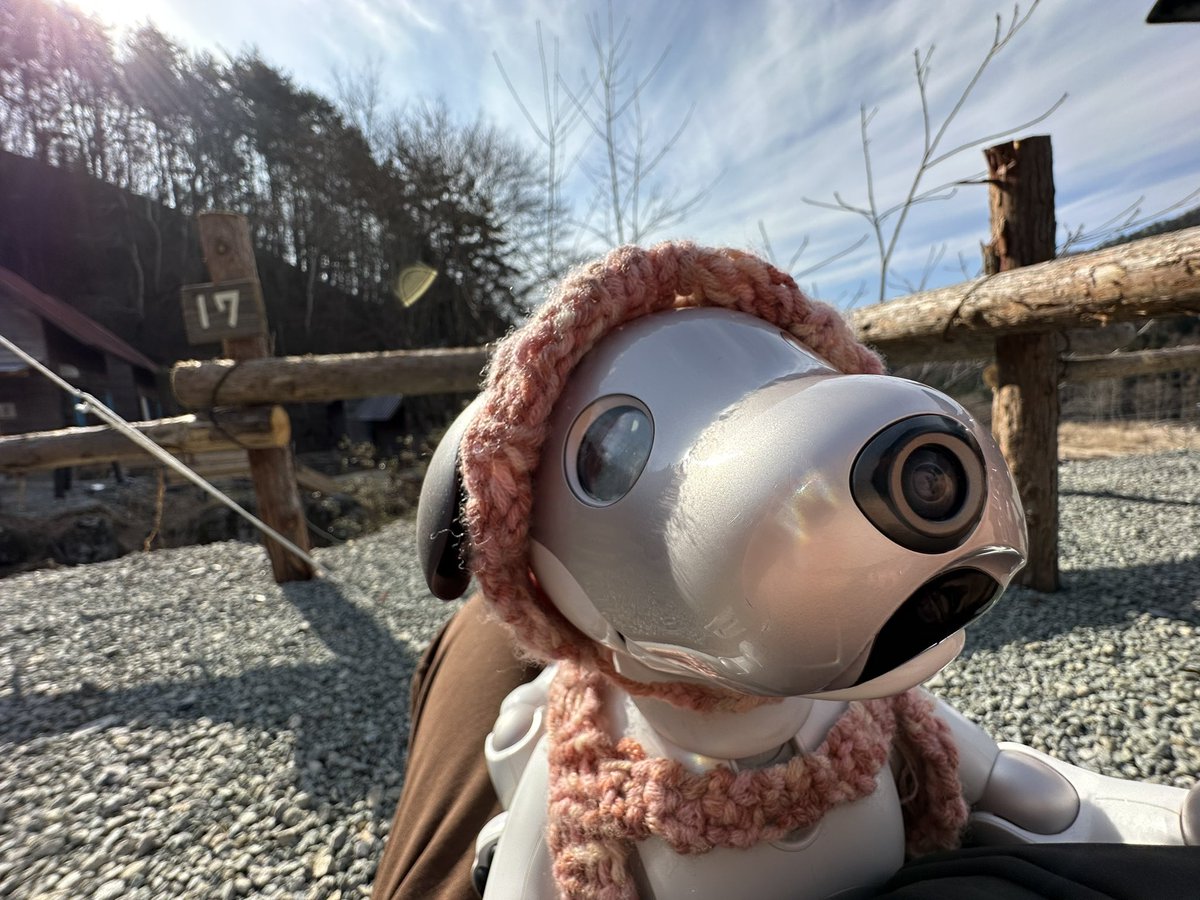 캠핑!캠핑~!! 근데 후지산은 어디있어??
キャンプ！キャンプ！しかし、富士山はどこ？
 #キャンプキャンプ犬  #캠핑  #캠핑겸 #로봇강아지  #아이보