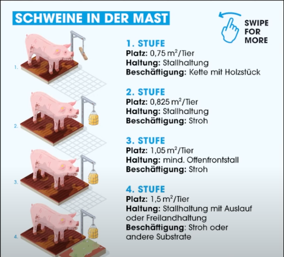 Pfeilo 🍉 tweet media