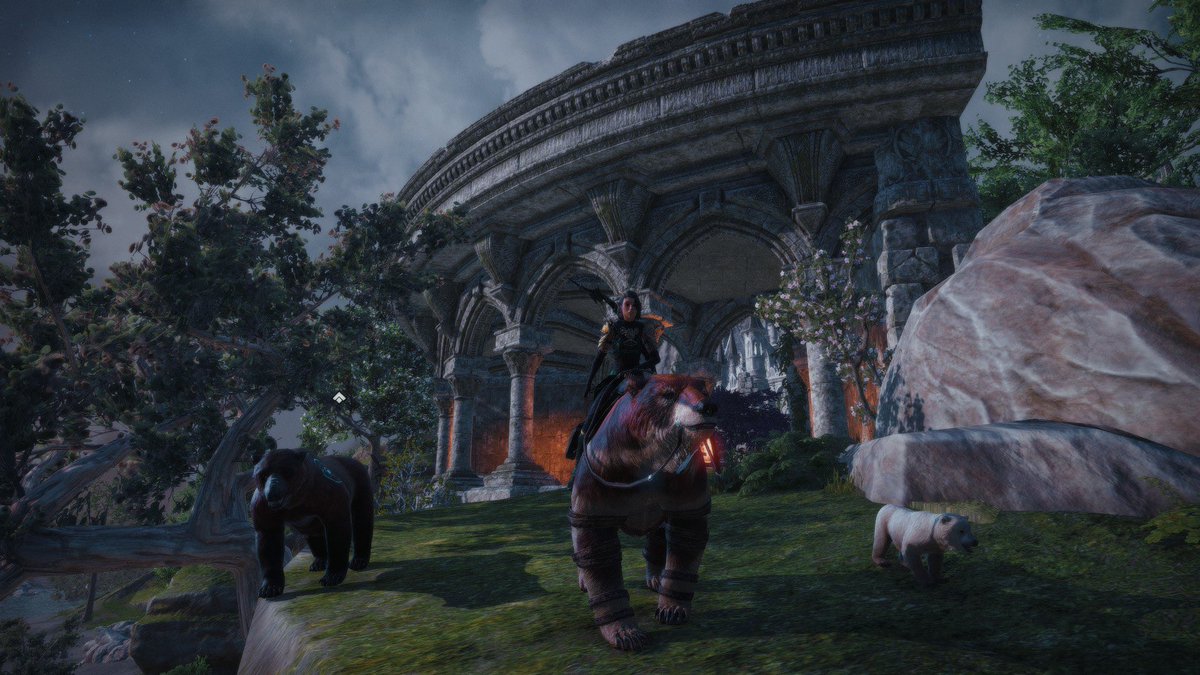 xiaha0's tweet photo. @TESOnline couldn’t be a warden without having several bears 🐻 https://t.co/3jQS8dnDxf
