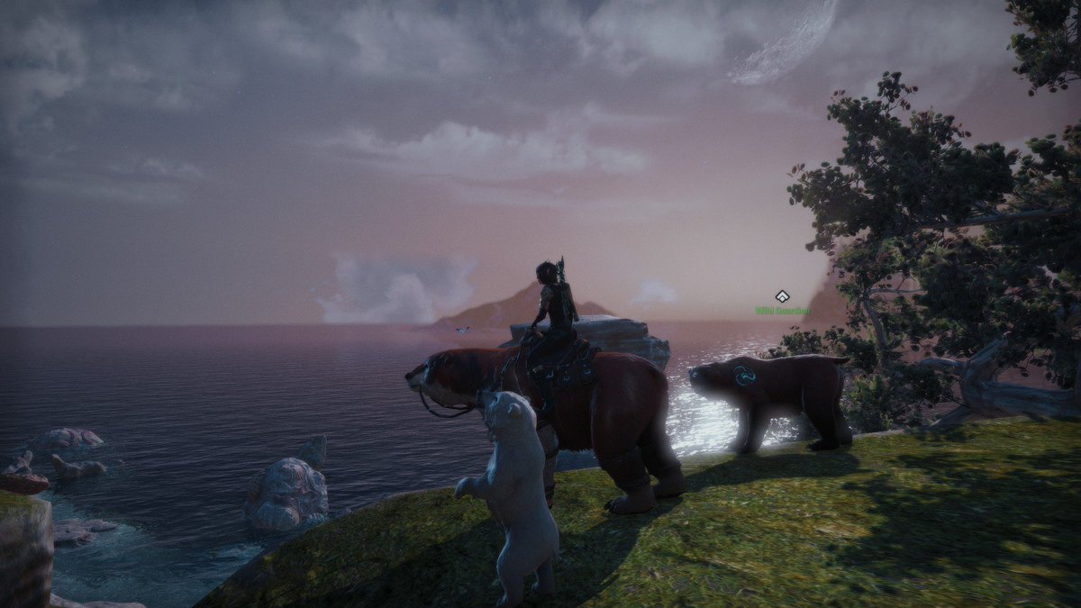 xiaha0's tweet photo. @TESOnline couldn’t be a warden without having several bears 🐻 https://t.co/3jQS8dnDxf