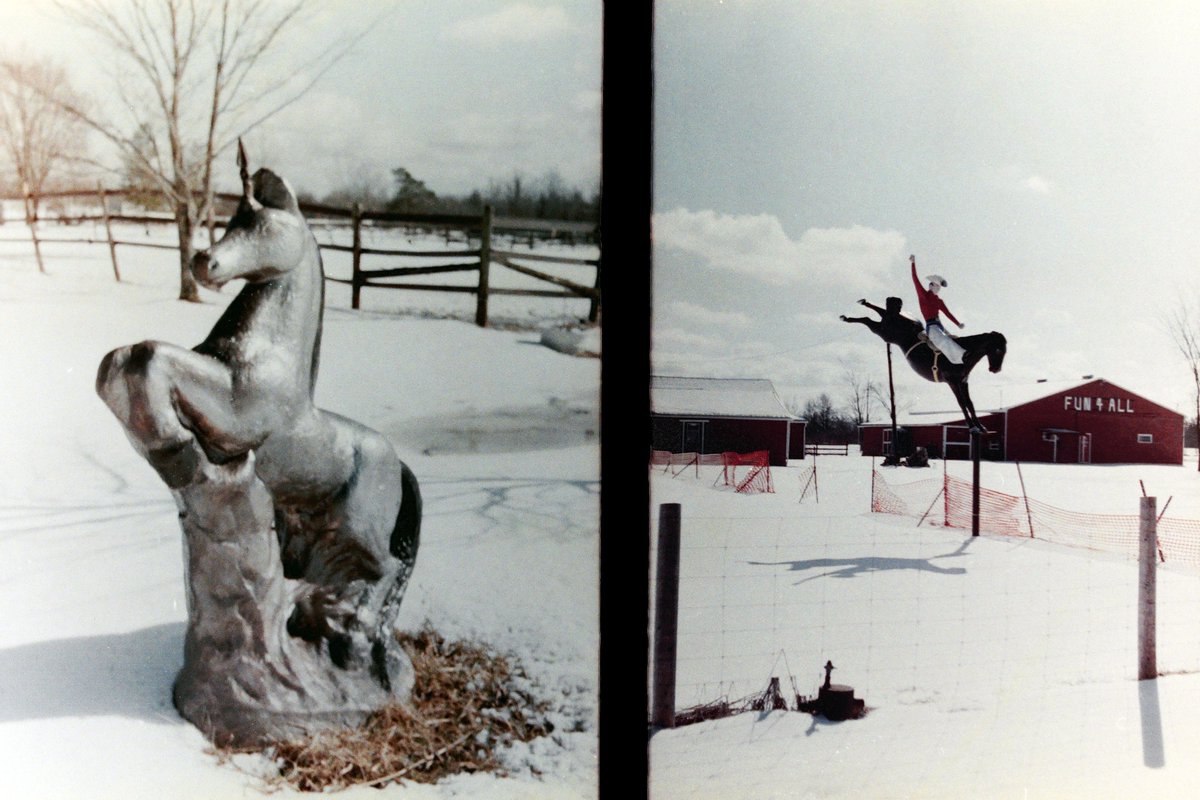 kategottli's tweet image. #fun4all