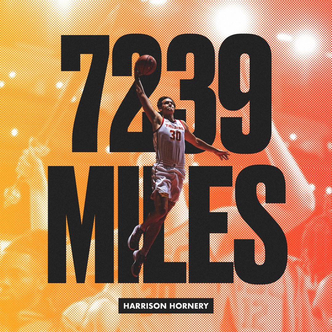 expositionusc's tweet photo. OUT NOW! Read 7,239 Miles by @HarrisonHornery at the link🏀 https://t.co/HktknixzLN https://t.co/HEdW8JJacT