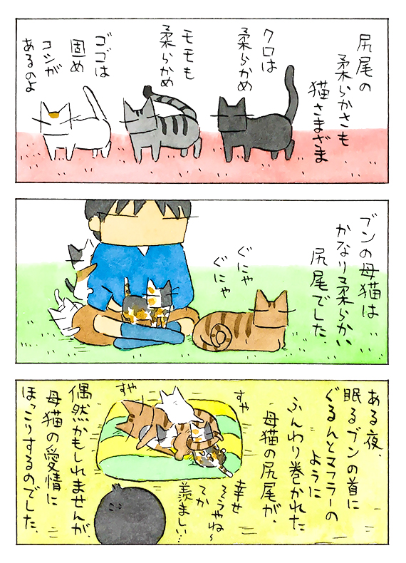 尻尾の話│フェリシモ猫部 https://t.co/D9hqjmB0XA 