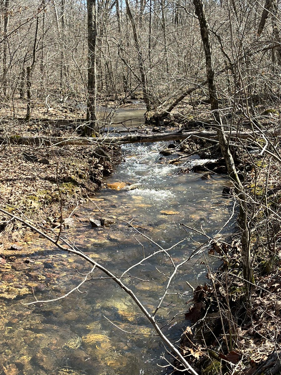 TfxcmanVaughn's tweet photo. Hiking this weekend with good friend Gary Thompson.  Johnson Shut-Ins area.  Today Bell Mt. tomorrow Goggins Mt. #BellMountain #JohnsonShutIns #Hiking https://t.co/wF59WOdg8F