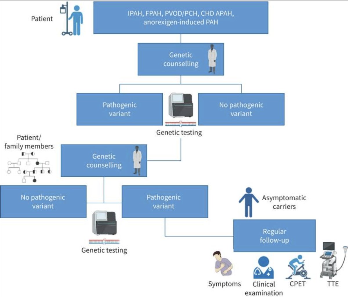 BrownPVD's tweet photo. New consensus statement in ERJ @EuroRespSoc on genetic counseling and testing in PAH! 
https://t.co/G3VD1akDyD https://t.co/7wGUoWANWq