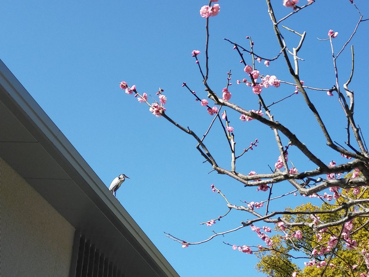 「これはタイミング良く噴水に虹がかかってた橋と、角度のせいで何か只者じゃない感じに」|マユムのイラスト