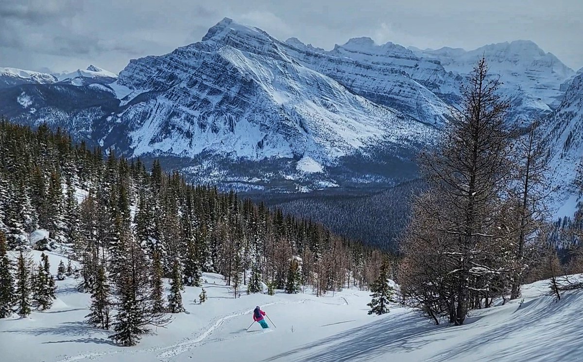 NikosStraub's tweet image. Backcountry touring day with a few pillows. #skiing #splitboarding #yyc #banff #WINTER