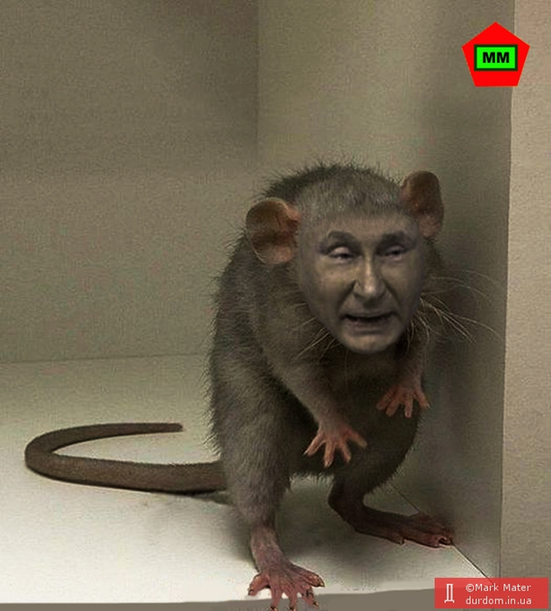 ChaimMagal's tweet photo. Всех со знаменательной датой - 70-летием окочуривания зверюги (это Фаина Раневская е��о так ласково обзывала). Весь мир надеется на скорое отбытие в рай и этой зверушки. https://t.co/7wlxUkSQ0h