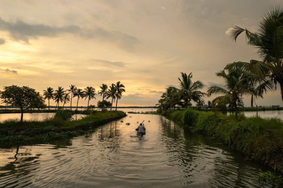 When shades of green and gold light up the world! Kadamakkudy, a cluster of islands nestled in the backwaters, is a destination for those seeking peace and serenity. #Kadamakkudy #Serene #TravelVibes #PackUpForKerala #KeralaTourism