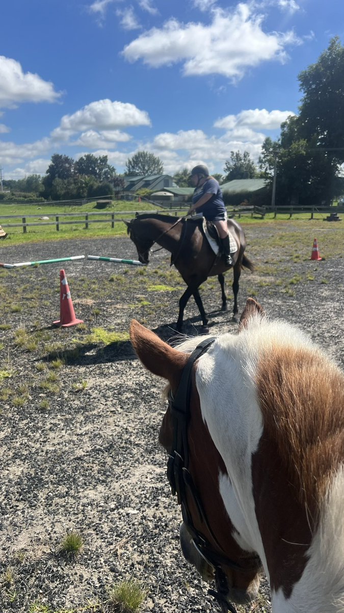 ChloeMackle's tweet photo. Cracker weekend with @juliajones110  and her nags! 🐎 https://t.co/MtjVkgcap3