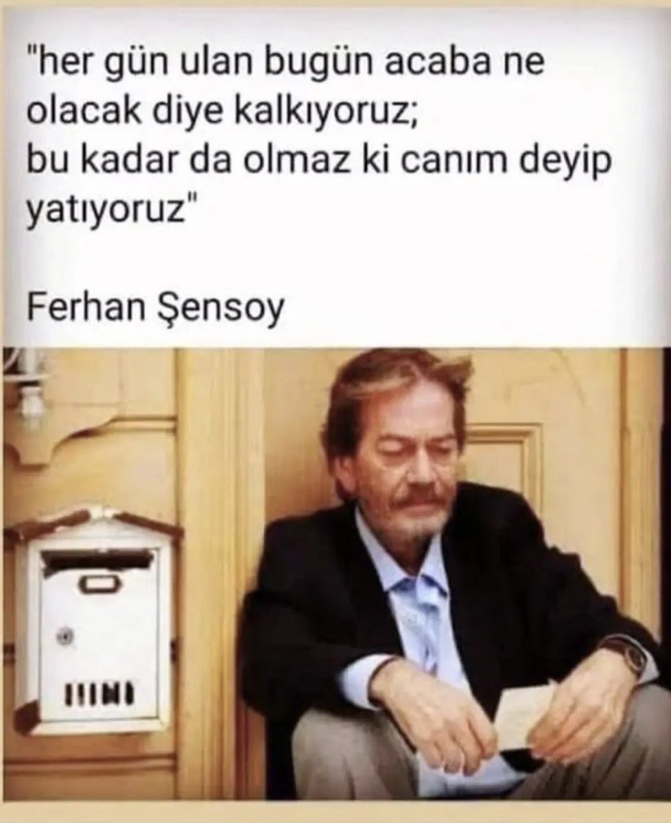 🦩TURNA🦩 tweet media
