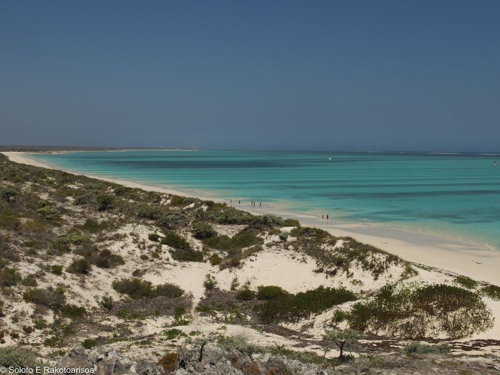 RseSolofo's tweet photo. #Madagascar_Discoreving #Salary is amazing with its wild beach boarded with white sand https://t.co/4Y4HW9tTth