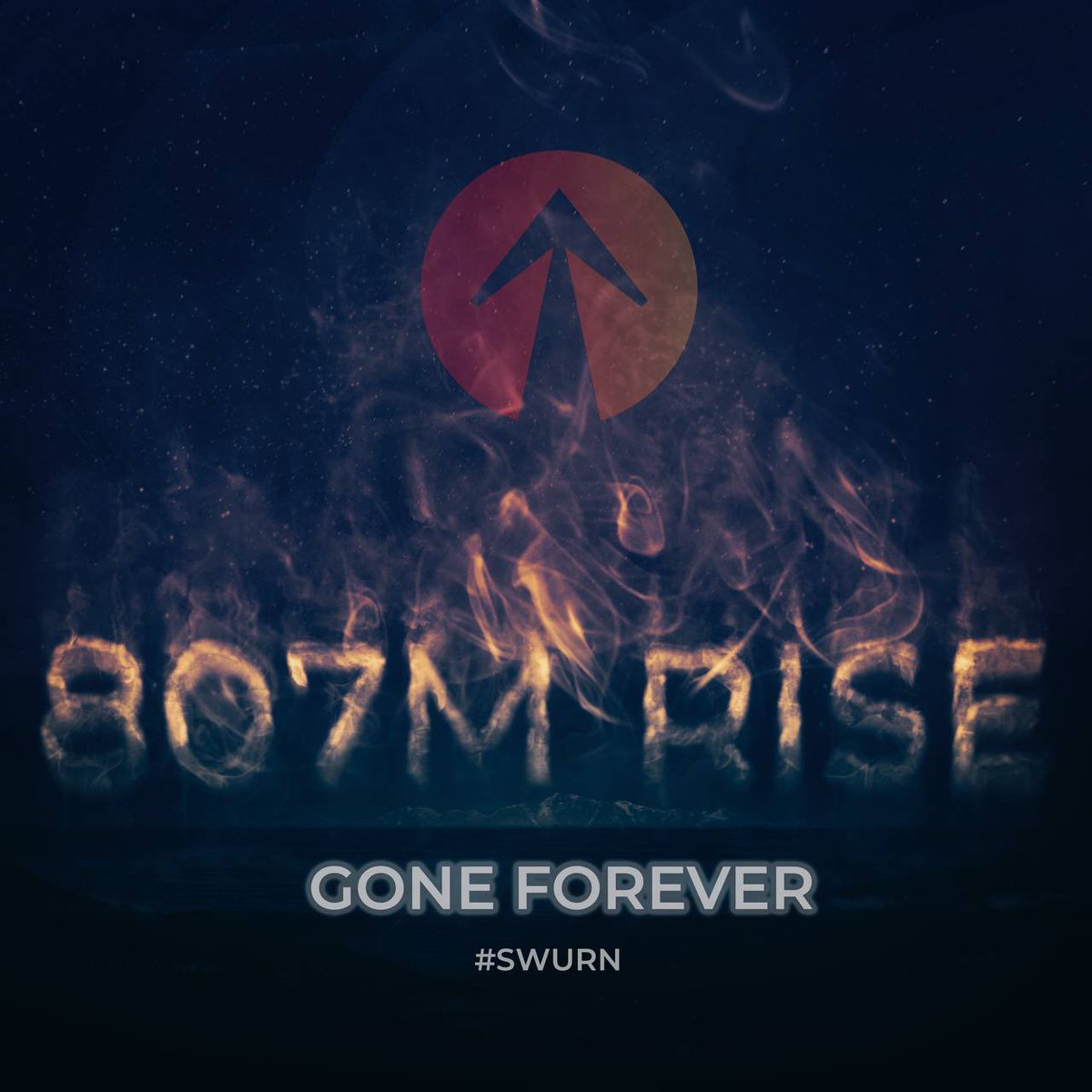RisearmySP's tweet photo. #SWURN #everrise $Rise #RISERS #RiserBotz keep building!! https://t.co/YQeekkUuNJ 5 chains, 6 dapps, 4 more coming! https://t.co/5FsWBYYBnU