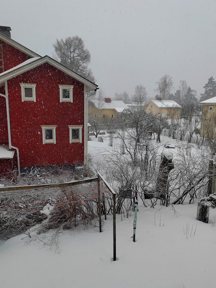 ElseKruskopf's tweet image. Hyvää sunnuntaihuomenta. Eilen hiutaloi mutta en jaksa uskoa ettäkö olisi viimeinen kerta ❄️Onneksi bussit kulkee. Menen käsityömessuille. En niitä itse tee mutta siellä on kaikkea myytävänä ja arvostan käsillä tekijöitä. Mukavaa päivää kaikille🙃#Finland #Helsinki #stillsnowing