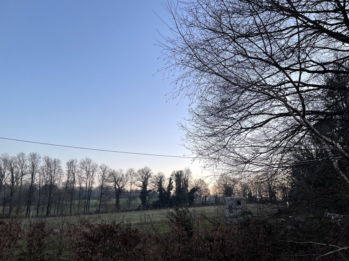 ytjepoppinga's tweet photo. Goedemorgen allemaal! Het wordt prachtig weer! De werkjes, paarden en Pierre die bomen en struiken komt snoeien, blootsvoets klimt hij de vijg in… vogelstrepen met #birdpen https://t.co/22VZe8qDCO zetten op ramen cabane. Hoe gaat het jullie? Fijne dag 🤗😘🙏 https://t.co/qJEMwN5BNt