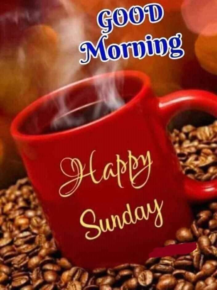 premnath pk 😍♥️🦋🌹💜🍫 tweet media