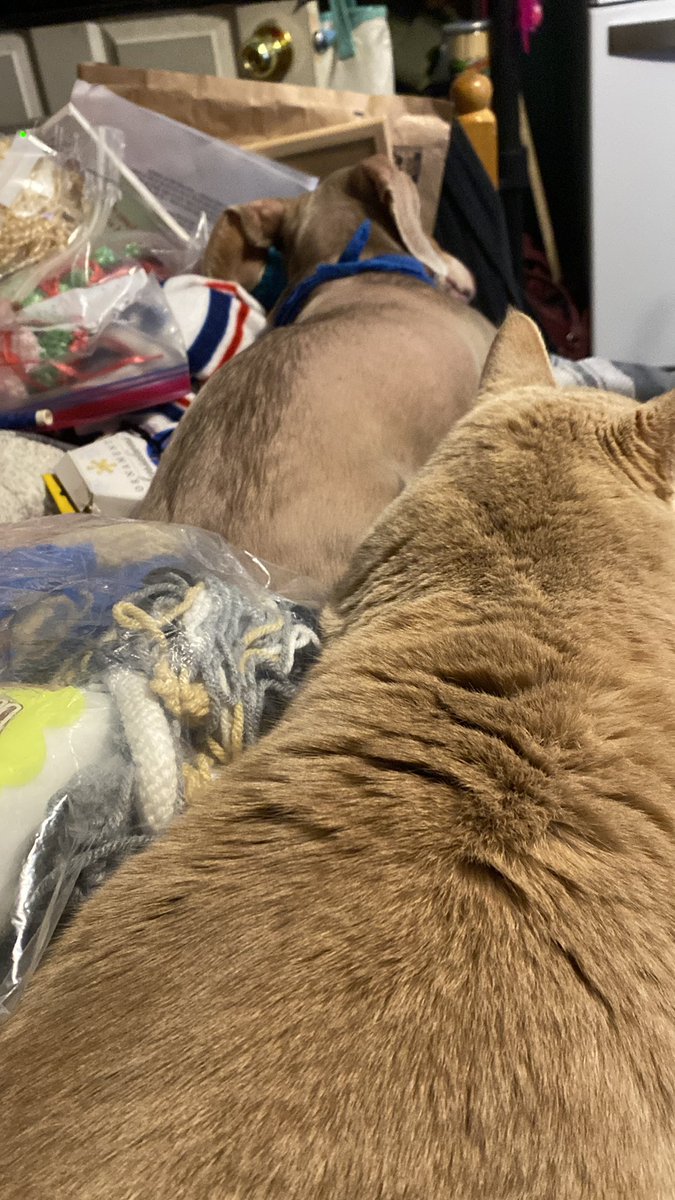 Awww.