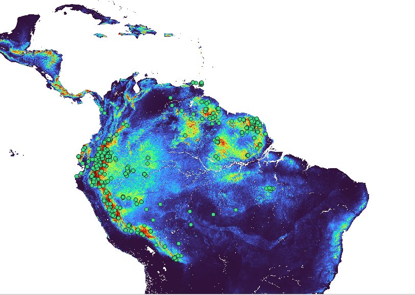 KevenLima1999's tweet photo. What do you think of this model?
I didn't think it was good because there are areas where the species occurs and my model couldn't predict it.
This was my first generated model, there are still seven species left.
#ferns #fernsfriday #ENM #ecologicalnichemodeling https://t.co/Bqqjxek3cQ