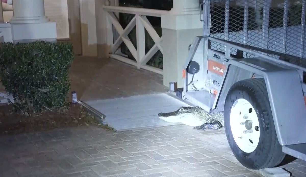 Richland County Sheriff's Dept. tweet media