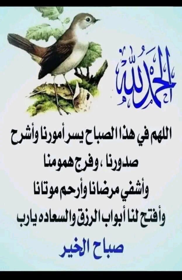 ظافر (@zafeer1400) on Twitter photo 