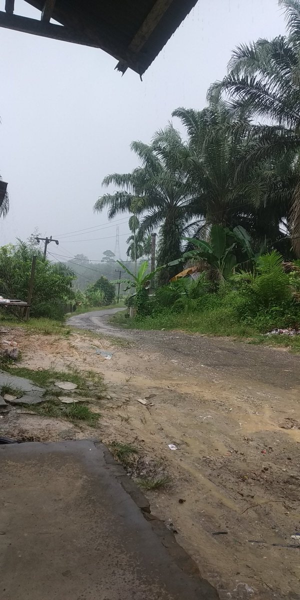 SamsonVanJava's tweet image. Awal yang... begitulah kira-kira