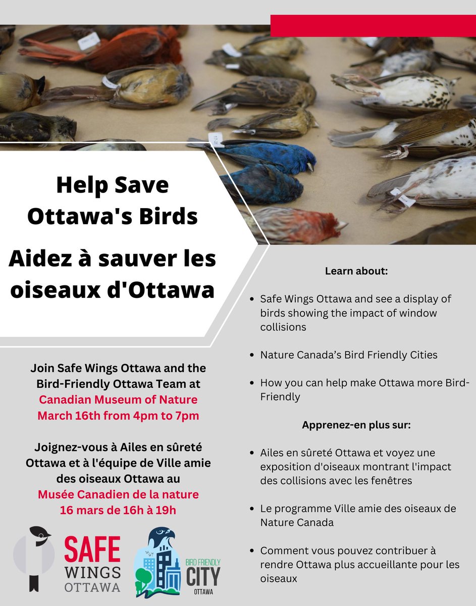 Safe Wings Ottawa tweet media