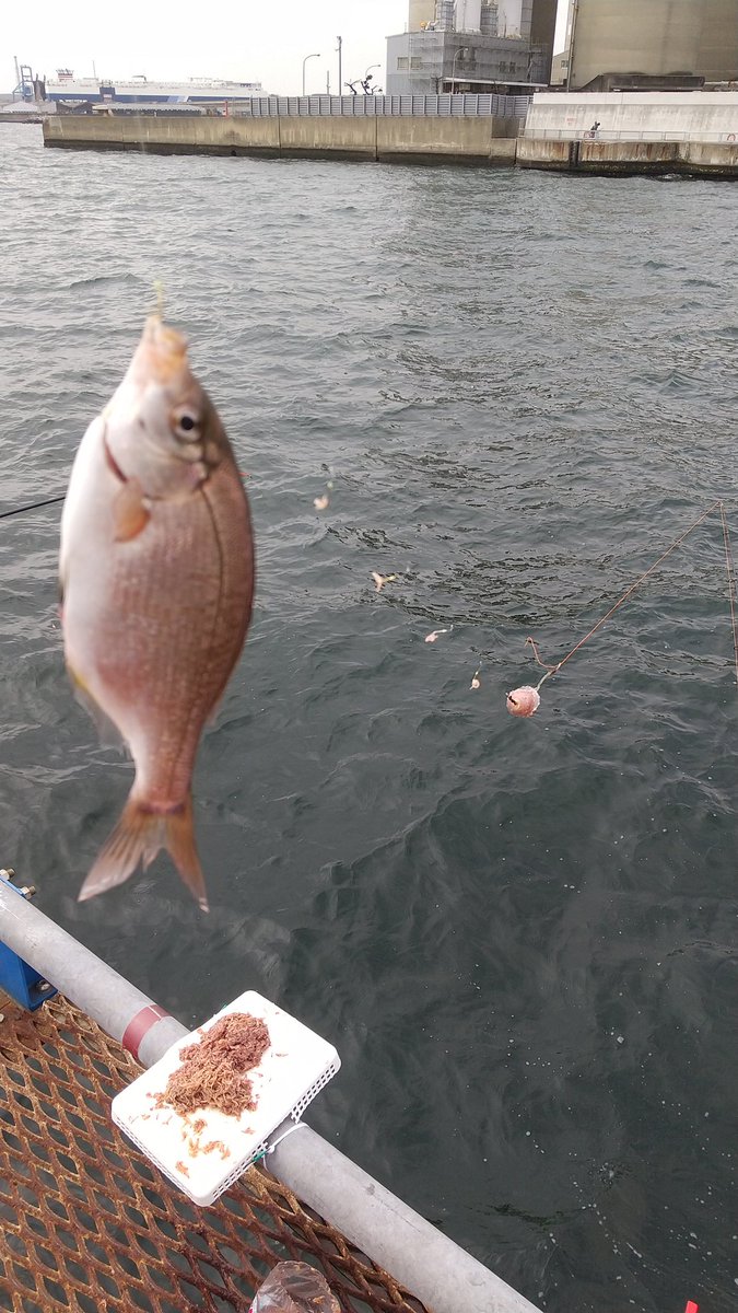 本牧うぇーい！