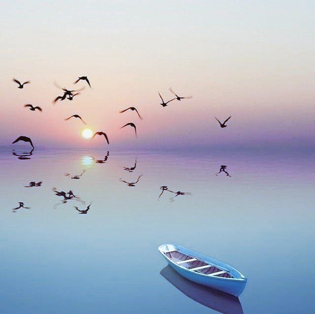 صباح الأمل المشرق من جوف السماء مع نسمات الإطمئنان صباح ملئ بالصفاء والانشراح تتجدد فيه تفاصيل الخير ويجعلنا مطمئنين ببداية يوم جديد