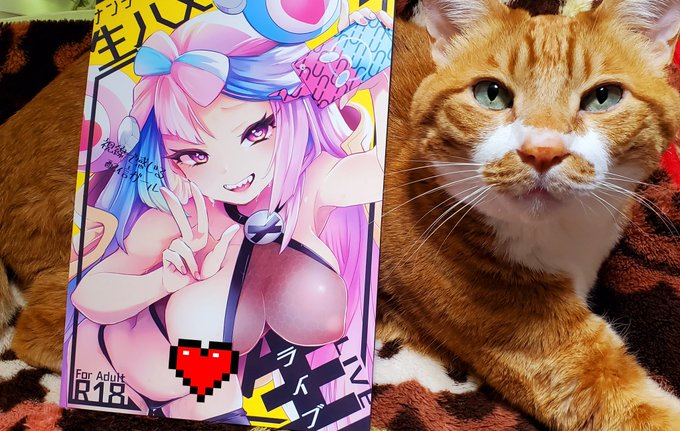 ナンジャモ本2冊目今日から🍈と🐯の店舗並んでますー
見かけたらよろしく! 