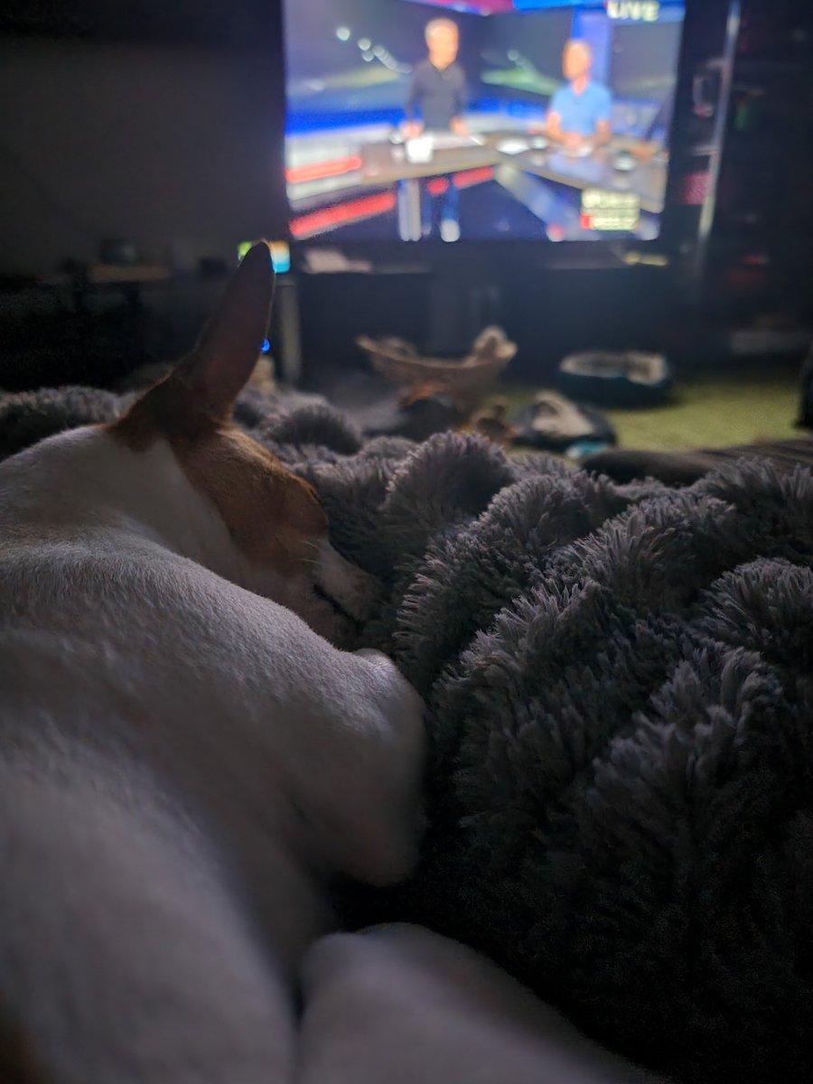 cn_angel's tweet photo. Nothing better then spending Saturday night watching #OPlive.  Loki may not be as excited, but we sure are. @OfficialOPLive @ReelzChannel @peacock

#OPLiveNation #dogsofoplive #OnPatrolLive #ReelzChannel https://t.co/qNNHJycGed