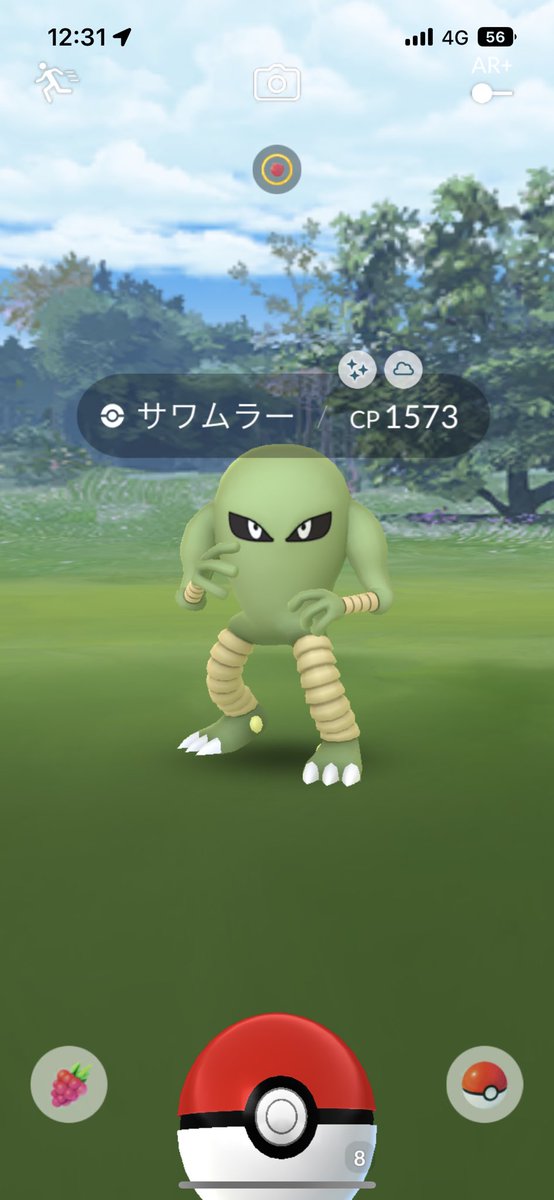 405pbi's tweet photo. やったー🙌続けて👏😆
 #ポケモンGO
 #ポケモンGO色違い https://t.co/K4w9zA0W13
