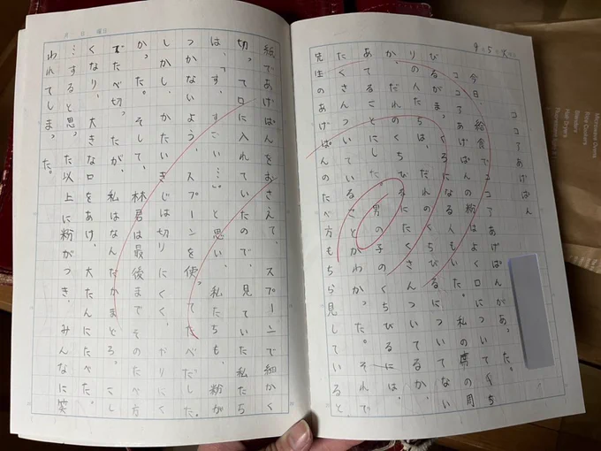 私の小学生の時の日記、かなり良いな 