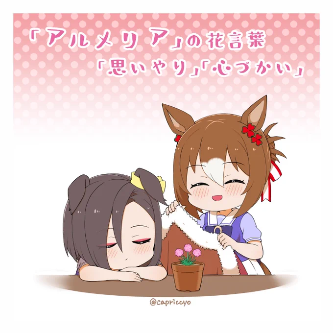 今日は阪神8Rでアルメリア賞がありますね貴様はアルメリアの花言葉を知っているか? 