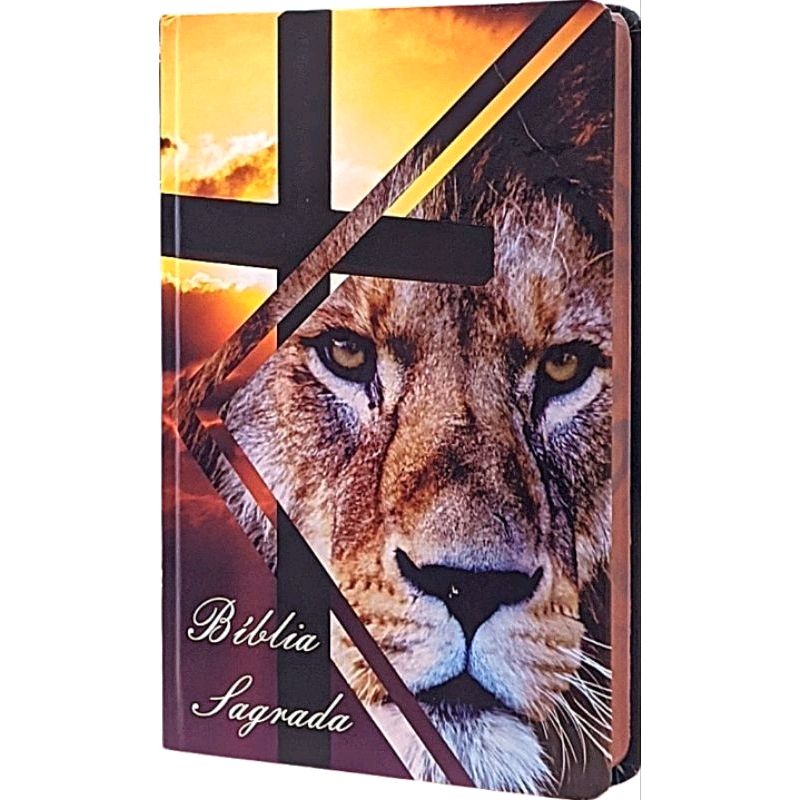 vemclamaradeus's tweet photo. 💥Bíblia Slim Leão De Judá Jesus Capa Dura Edição Jovens Nvi por R$39,99🔥. 

📌Compre na Shopee agora! https://t.co/NP5XVxwPOa https://t.co/TerQxsdeoe