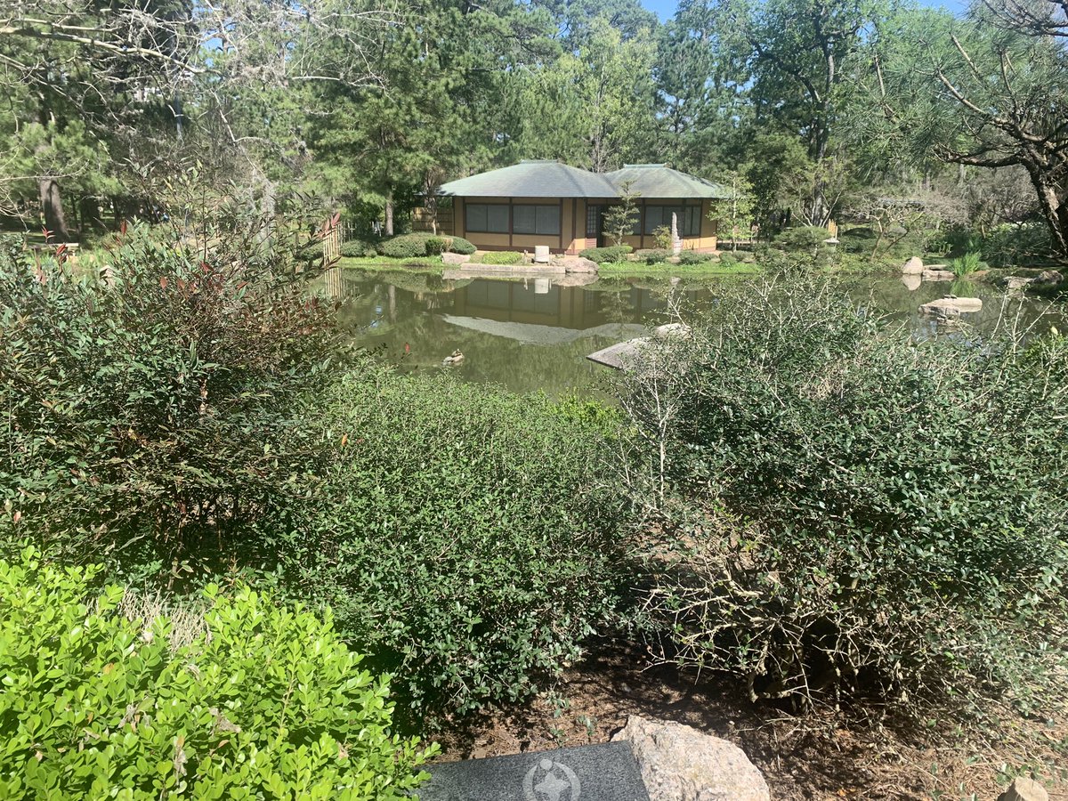 Cheyenne Bastian-Brown tweet media