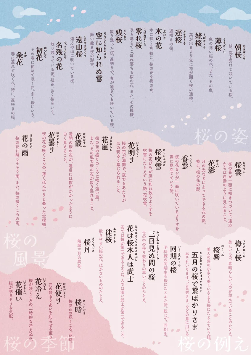 もうすぐ桜の季節！桜にまつわる日本語を見てみよう！