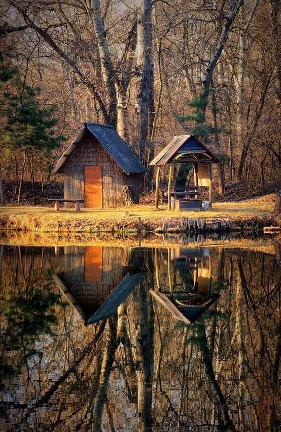 Lake Reflection, Hungary #LakeReflection #Hungary miawells.com