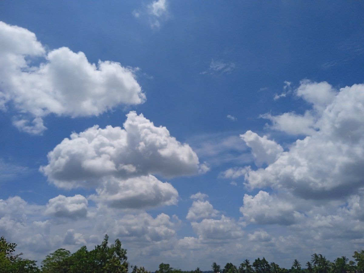 laj894's tweet photo. https://t.co/ZVmWRVg91r